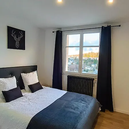 Foucault - - Au Coeur De Lourdes