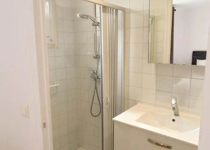 Foucault - - Au Coeur De 루르드